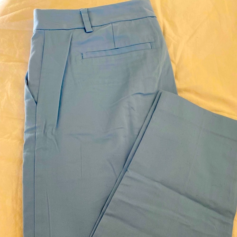 Dress pant